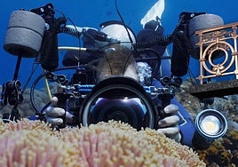 Fondo marino. Imagen del trabajo 'Metropolis-A Day in Reef City'que martes en Biteri.