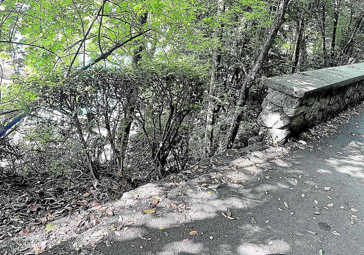 Denuncia Fco. Javier Sainz: «Junto a la ikastola Orixe, al principio de la subida hacia el monte Urgull, hay una zona sin murete que supone un riesgo importante para los niños y niñas que pasen por allí. Solicitamos al Departamento de Mantenimiento y Servicios Urbanos que cuanto antes pongan remedio a este tema. Muchas gracias».