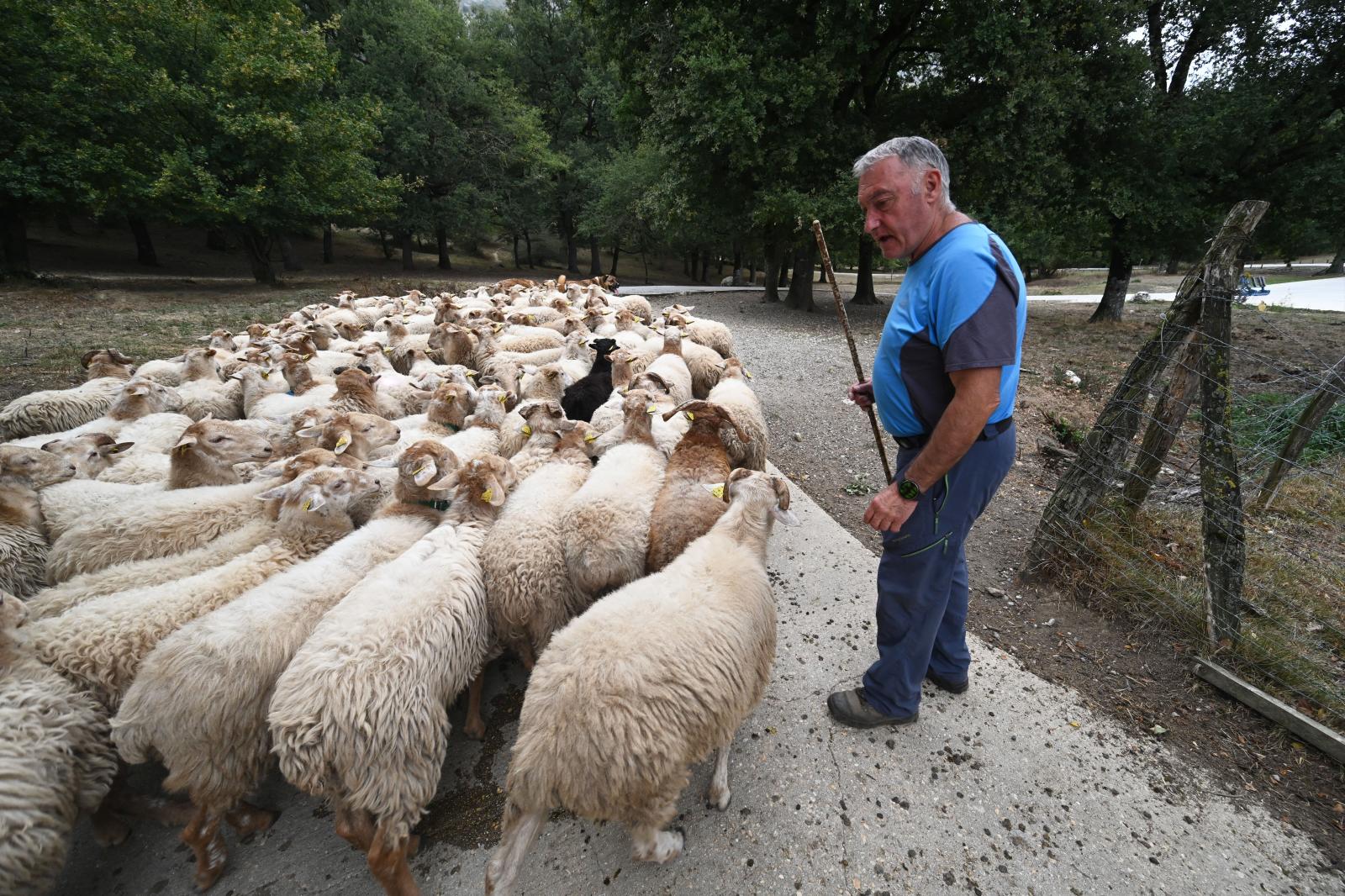 La familia Jauregi Gorrotxategi abre a DV las puertas de la quesería La Leze