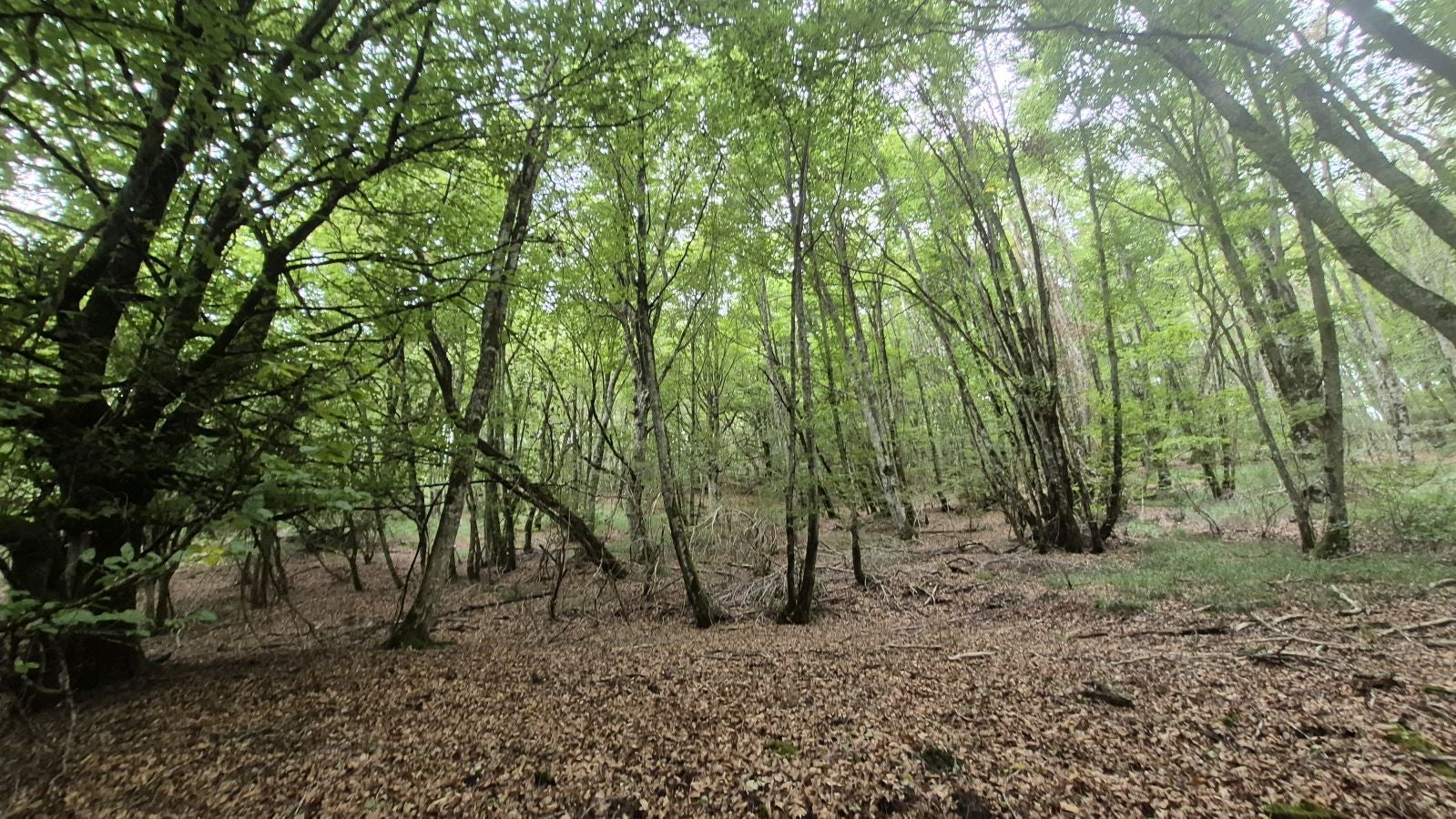Una atalaya de casi 1.000 metros