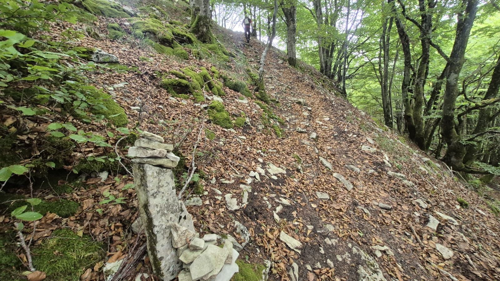 Una atalaya de casi 1.000 metros