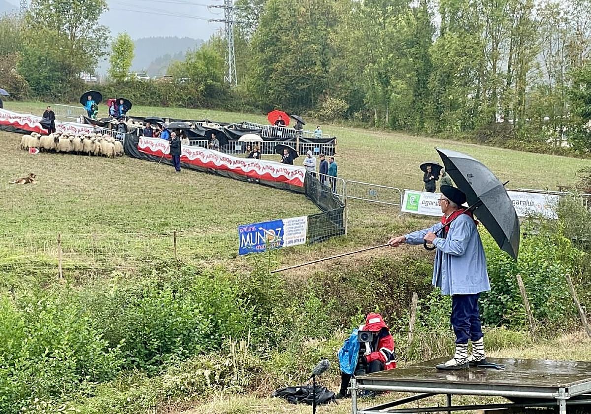 La organización cruza los dedos para que los pastores no necesiten paraguas, pero llueva o no animan a disfrutar del espectáculo.