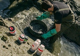 Una toma de muestras en un estuario de la costa vasca.