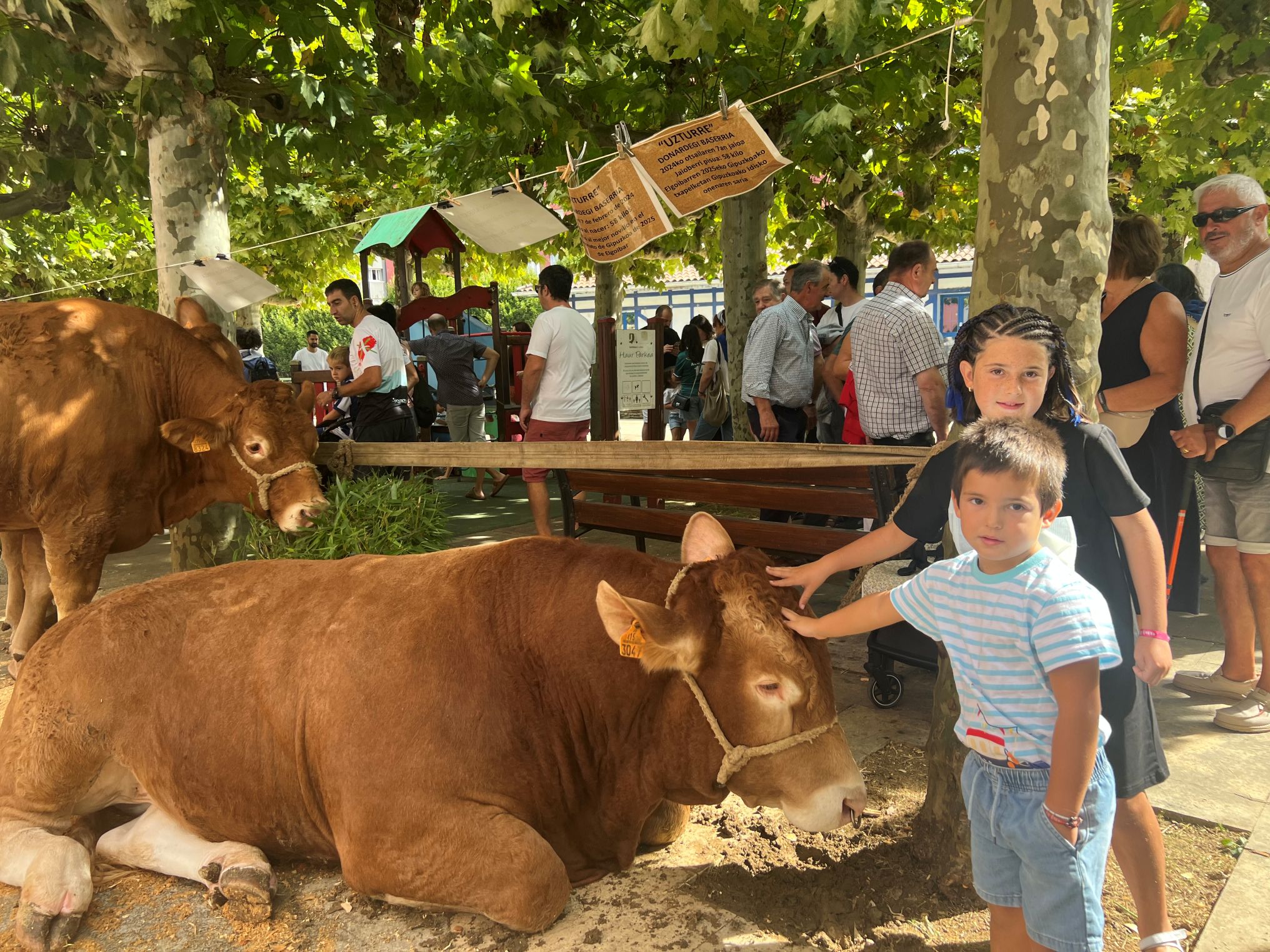 Santa Anastasia llena de vida Urretxu