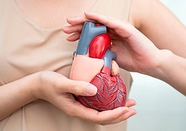 «El ejercicio físico es fundamental para prevenir enfermedades cardiovasculares, incluso independientemente del peso del paciente»