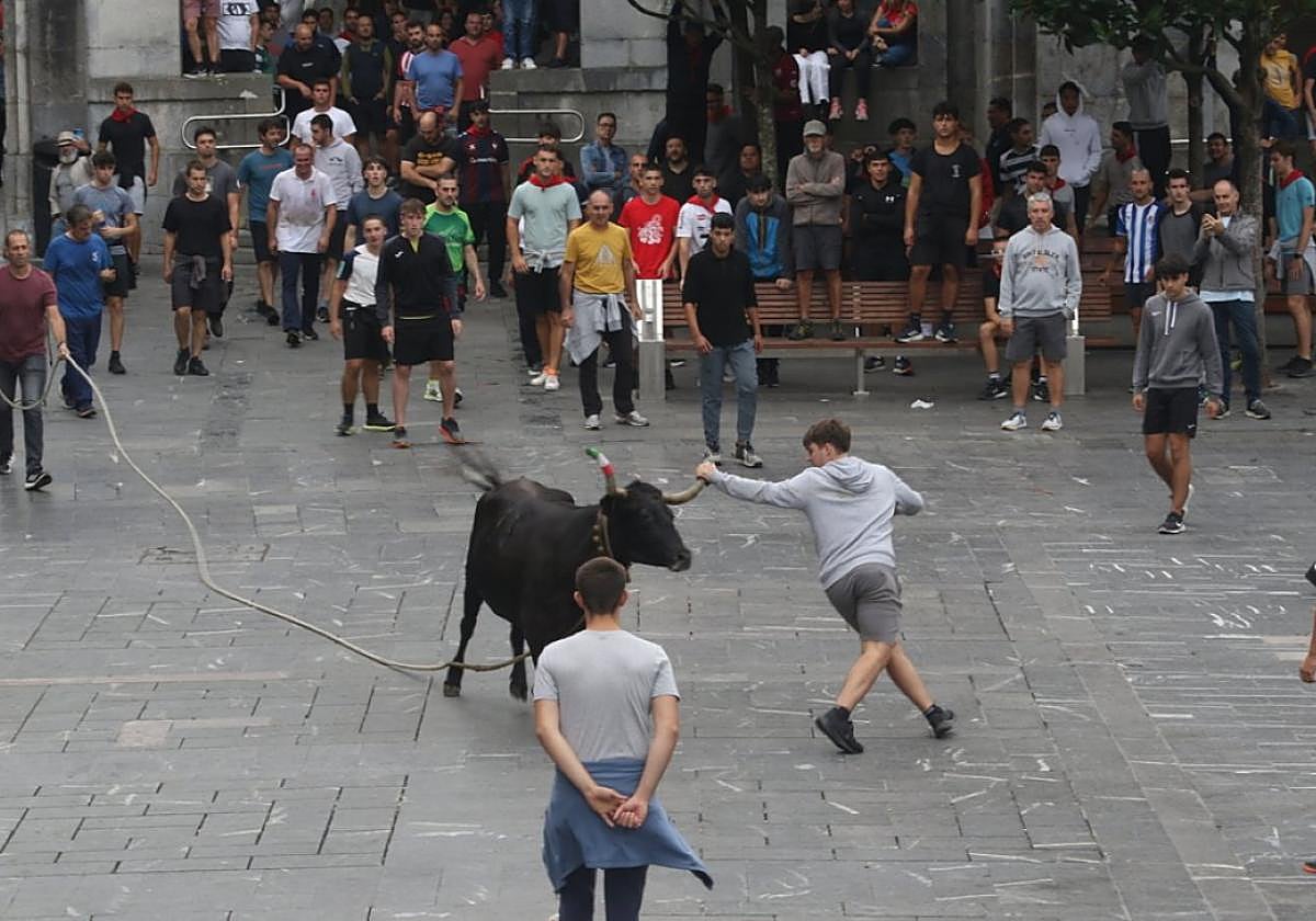 Una vaquilla de Saka durante la sokamuturra que se celebró el día de la Juventud de las pasadas fiestas.