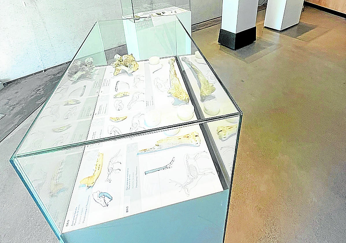 La exposición ha estado abierta desde el pasado mes de julio.