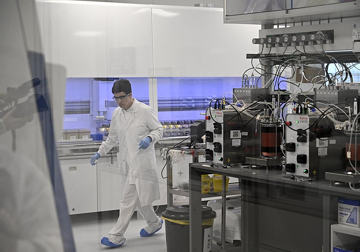 Profesional de una empresa biotecnológica de San Sebastián.