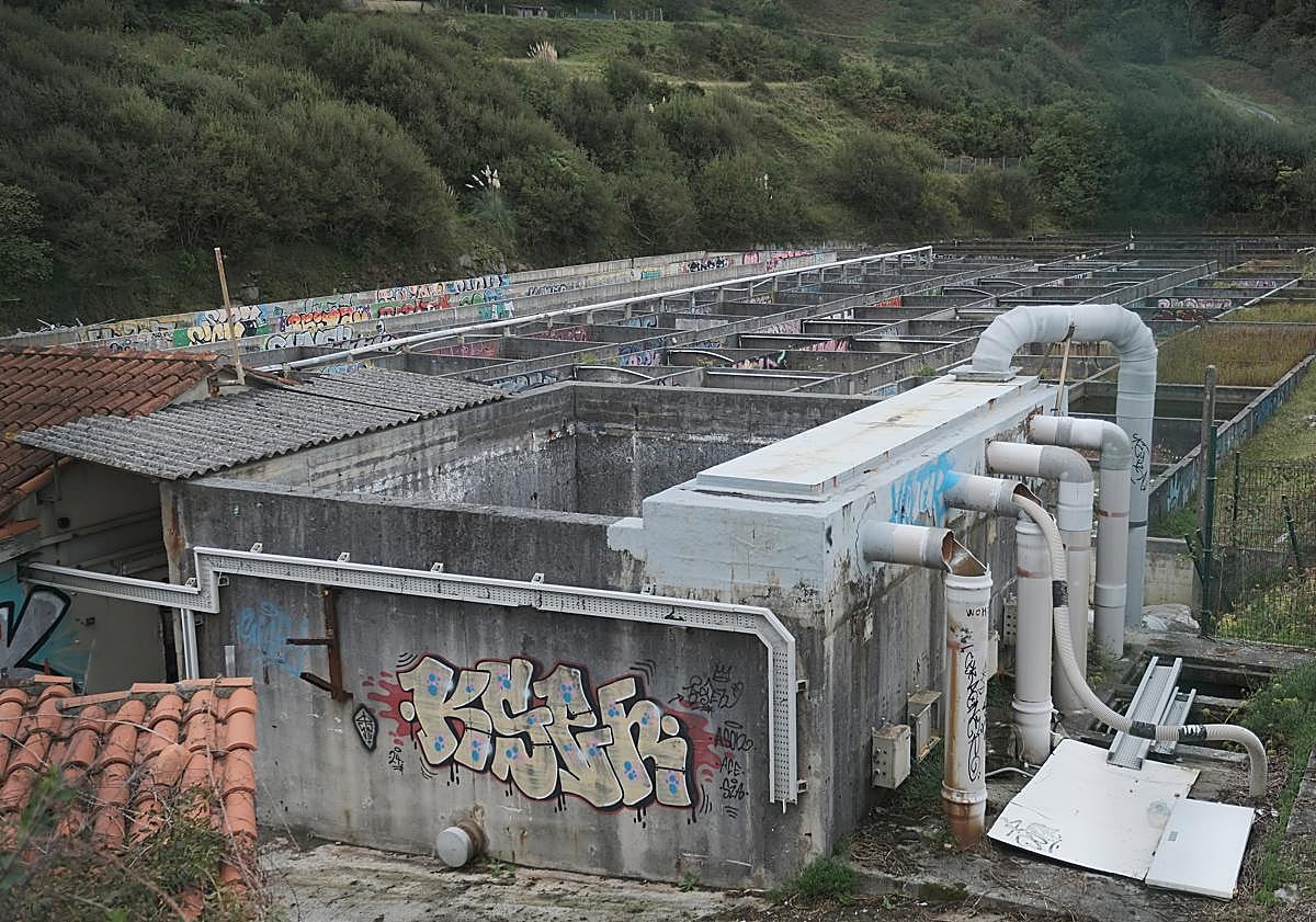 Imagen principal - La instalación, ubicada a escasos metros del mar, cuenta con sistemas de filtrado y recirculación del agua.