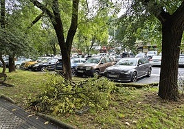 Jorge denuncia que «han pasado ya varios días desde que se cayera una rama de un árbol en Lorea. El problema es que obstaculiza el paso hacia la parada de Dbus. Bastante vuelta tenemos que dar ya entre coches aparcados para coger el bus como para que tampoco podamos pasar por aquí».