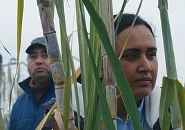 El mundo, en un barrio
