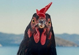 Un fotograma de la película del realizador húngaro György Pálfi.