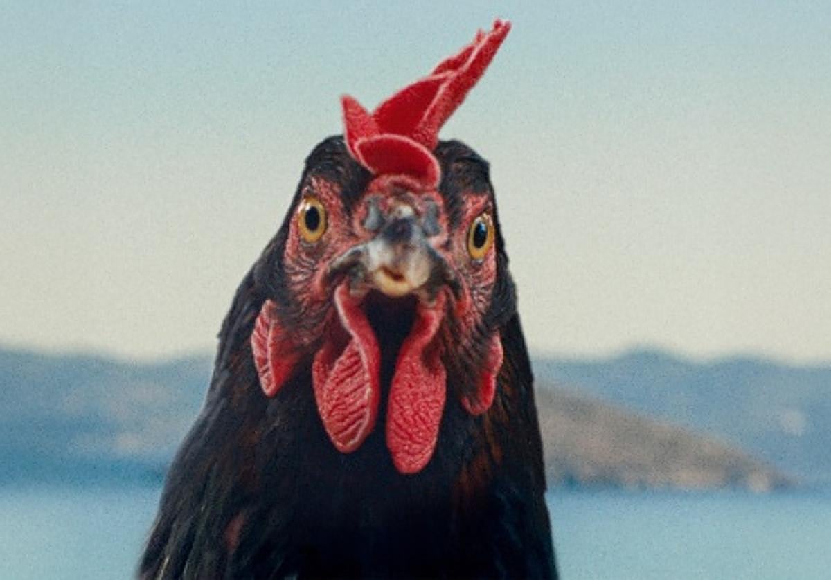 Un fotograma de la película del realizador húngaro György Pálfi.