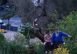 Fotograma de la película de José Luis Guerin 'Historias del buen valle'.