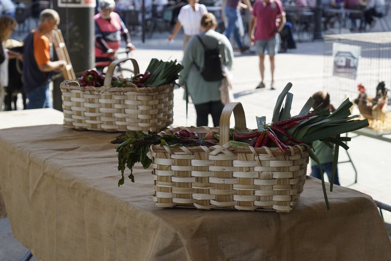 Landa-mundua Lazkaoko bihotzean: Basherri Eguna ospakizun betean