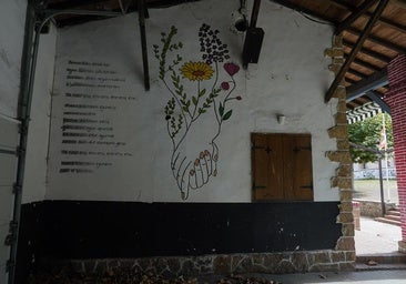 Dos de las cuatro denuncias que se han presentado por el udaleku de Bernedo son en Gipuzkoa