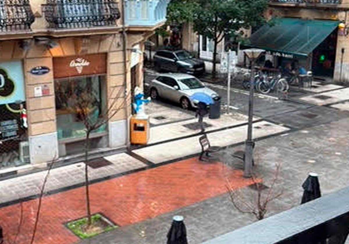 Los árboles de la calle Reyes Católicos están muertos