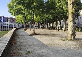 Imagen de archivo correspondiente a un Zumardi Txiki peatonal tras la retirada de vehículos para preparar un evento cultural.