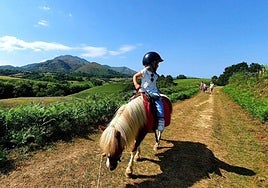 El divertido plan familiar con animales a un paso de Gipuzkoa