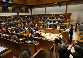 Vista de un pleno del Parlamento Vasco.