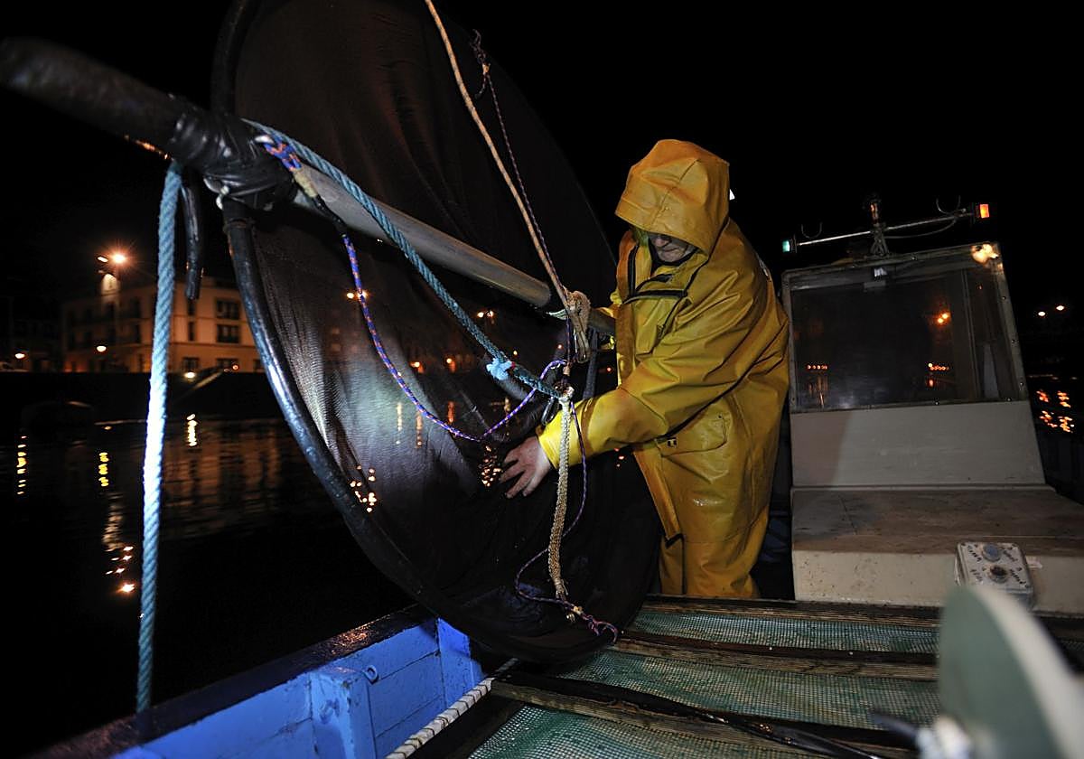 Pescador descarga angula en su embarcación.