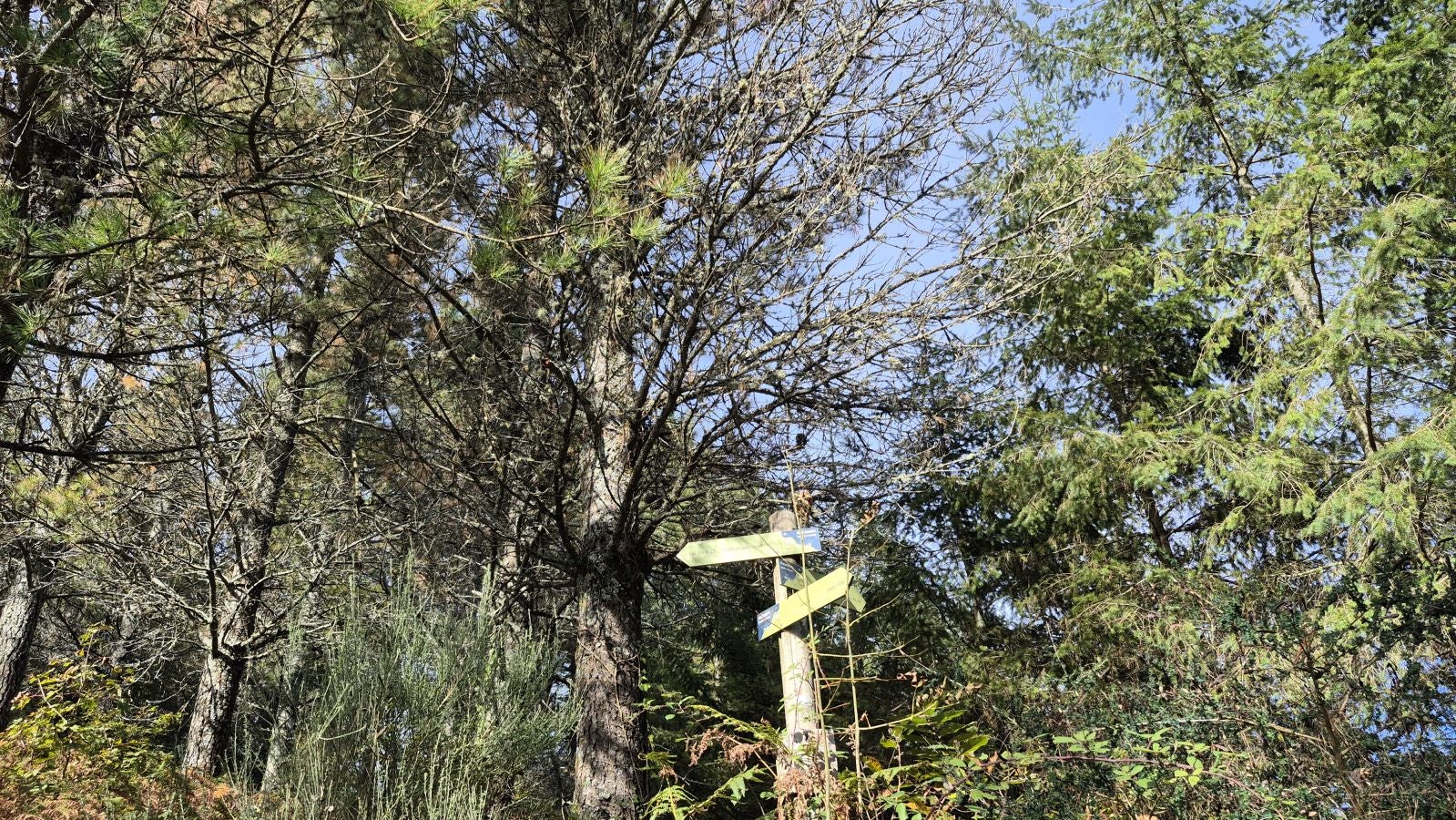 Hermosas vistas desde el Santuario de Arrate