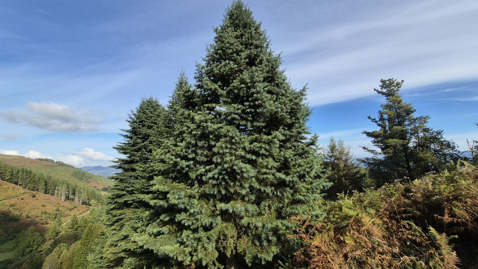 Hermosas vistas desde el Santuario de Arrate