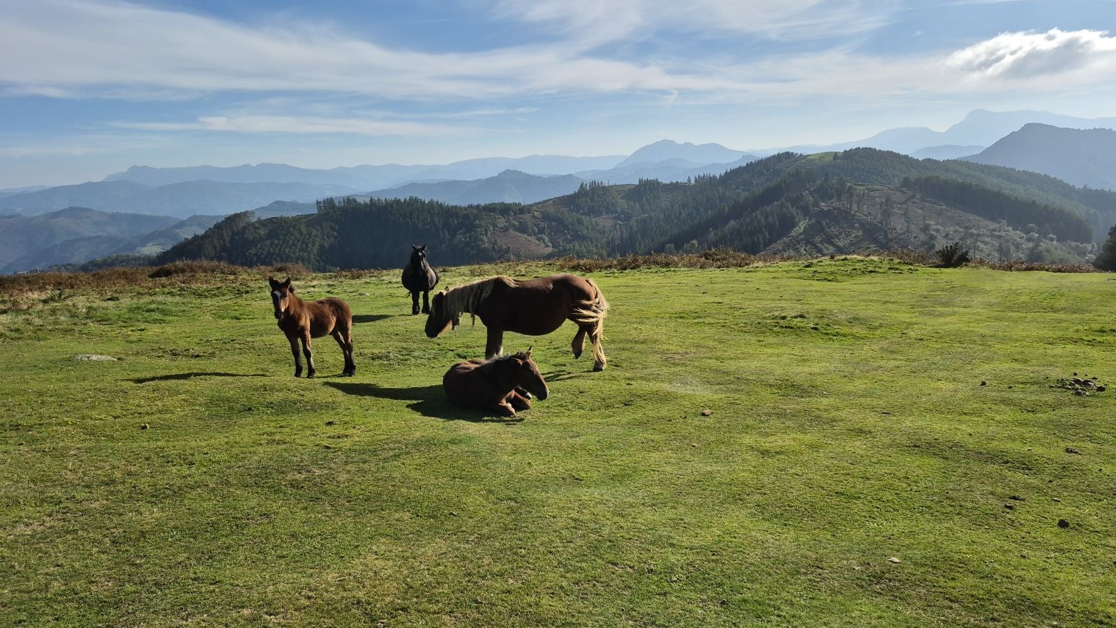 Hermosas vistas desde el Santuario de Arrate