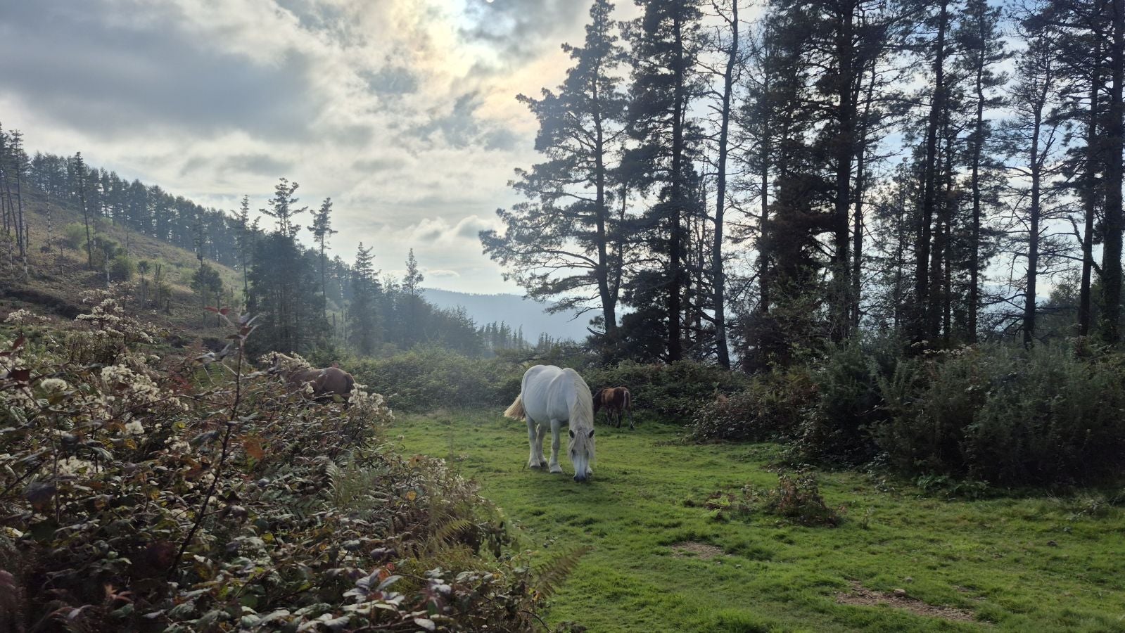 Hermosas vistas desde el Santuario de Arrate