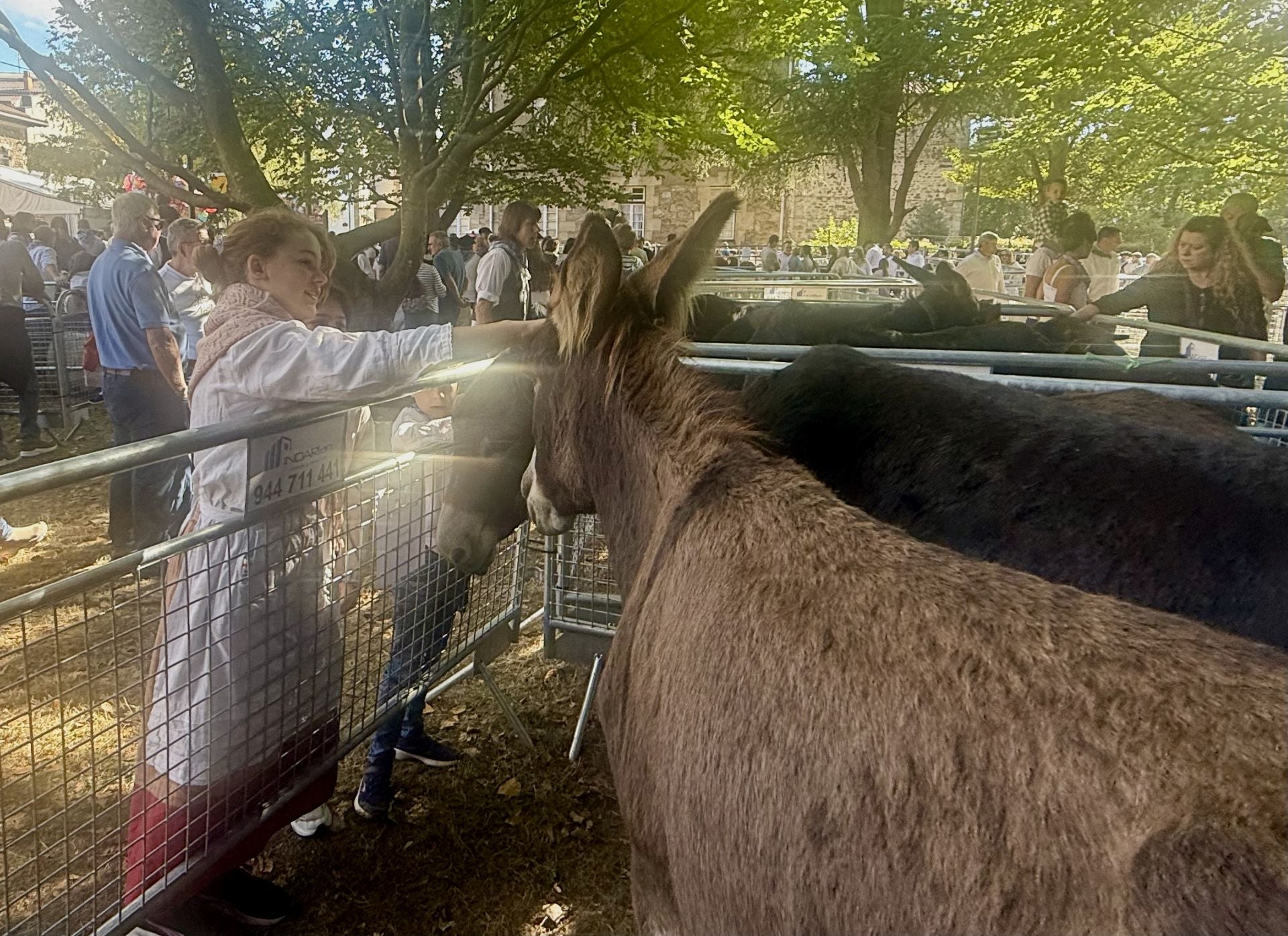 Las kuadrillas llenan un Oñati muy &#039;tropical&#039;