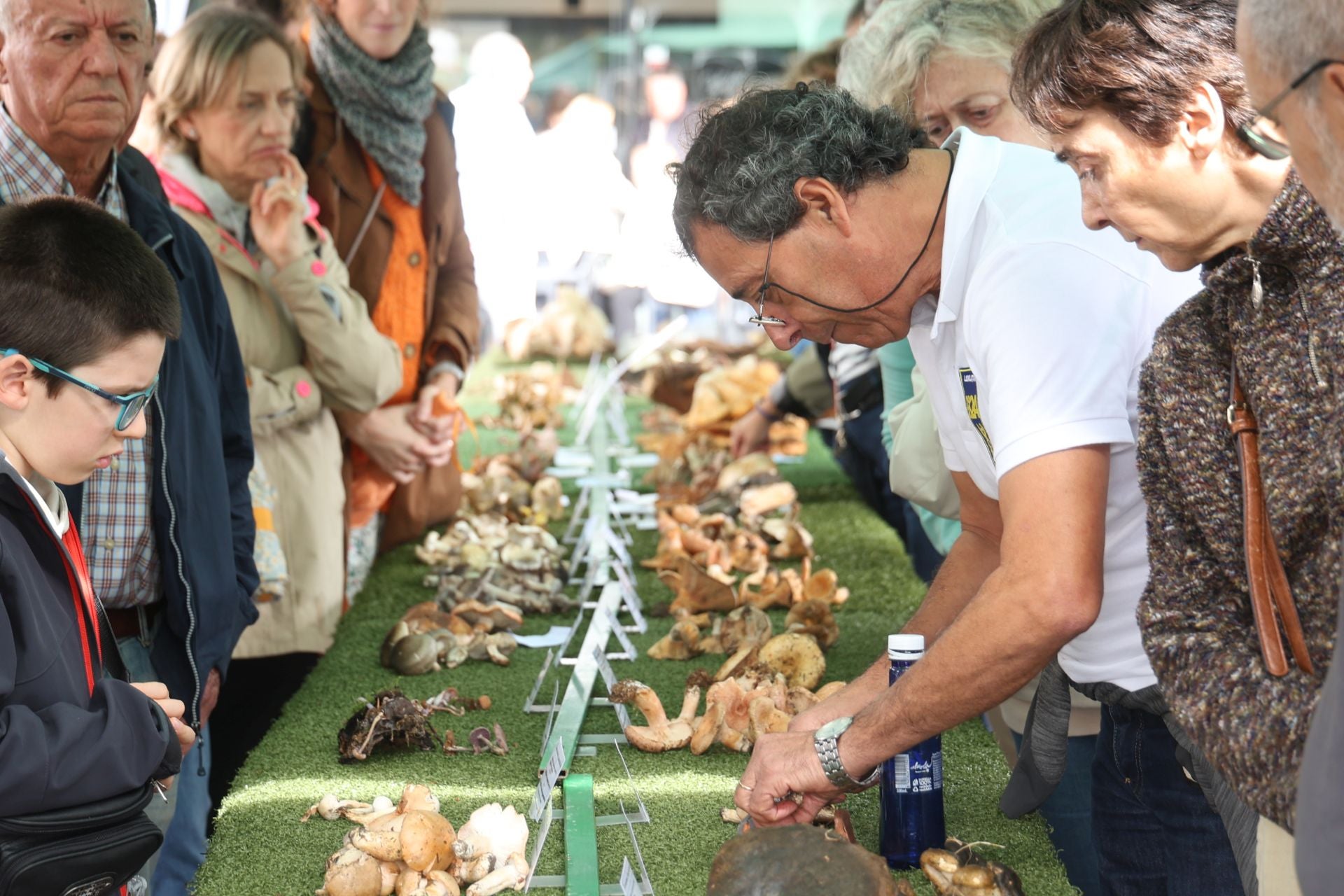 La micología reina en el barrio de Loiola