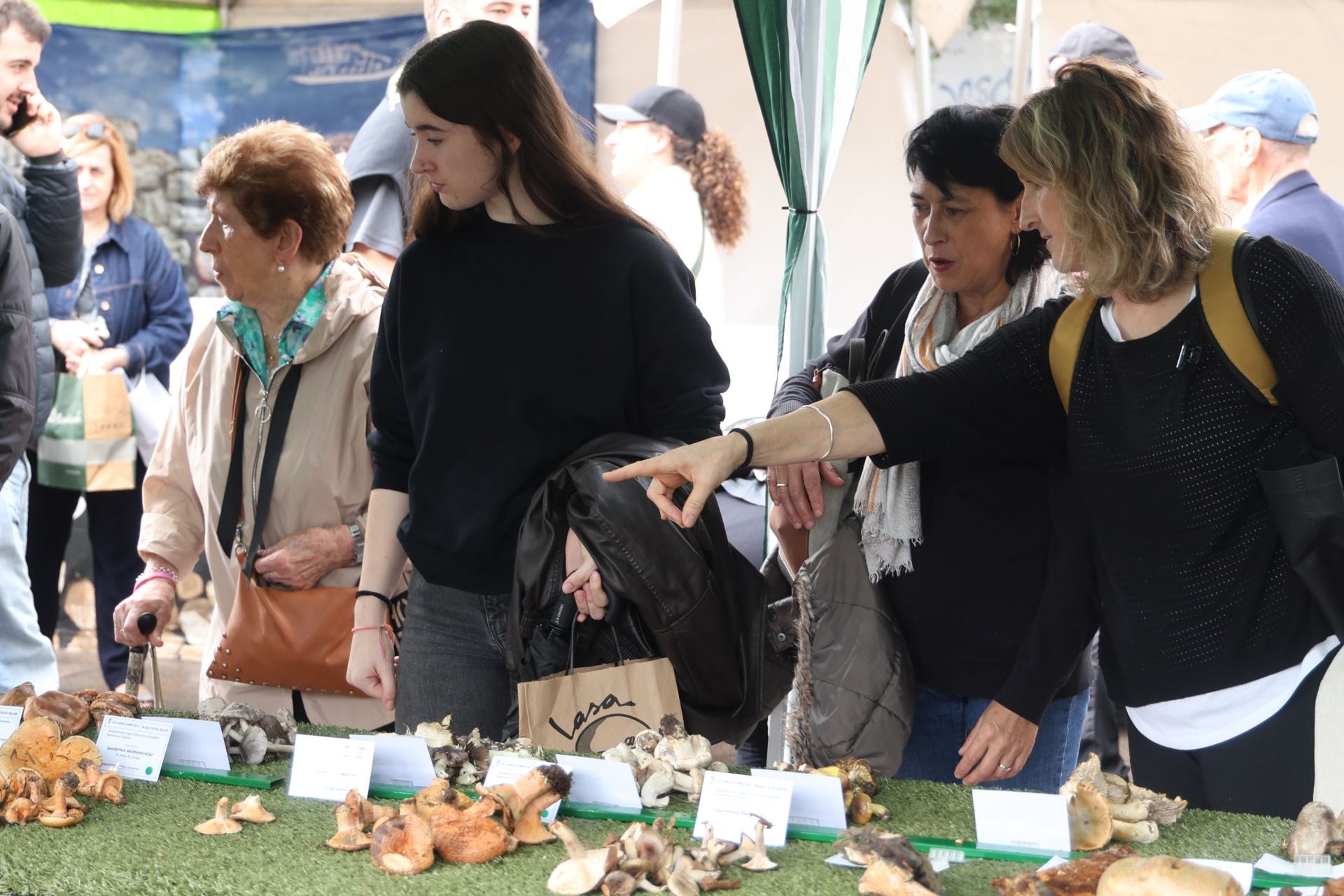 La micología reina en el barrio de Loiola