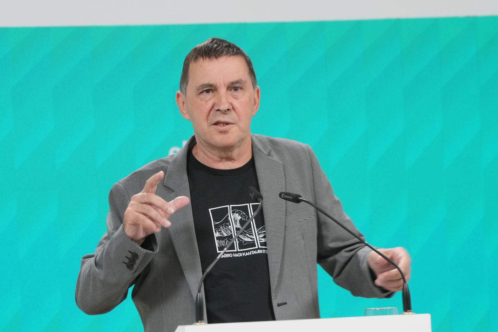 Arnaldo Otegi, coordinador general de EH Bildu.