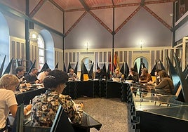 Sesión plenaria celebrada el miércoles con carácter extraordinario para aprobar los pliegos.