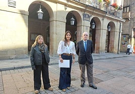 El grupo jeltzale presenta una bateria de enmiendas