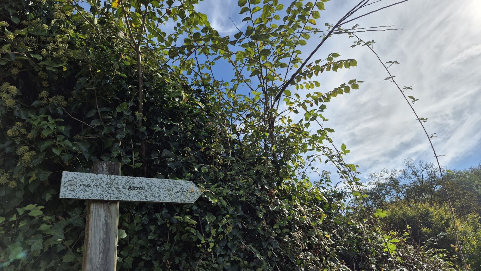 Otsabio: Un regalo para los sentidos