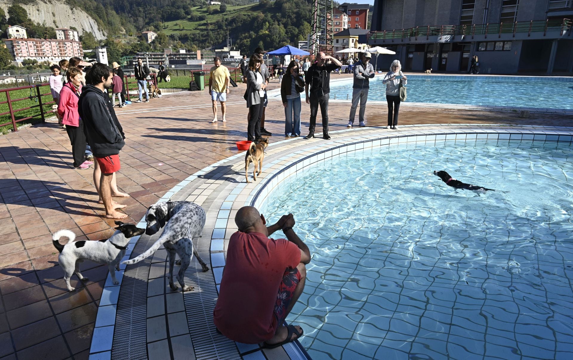Los perros se adueñan de las piscinas de Eibar