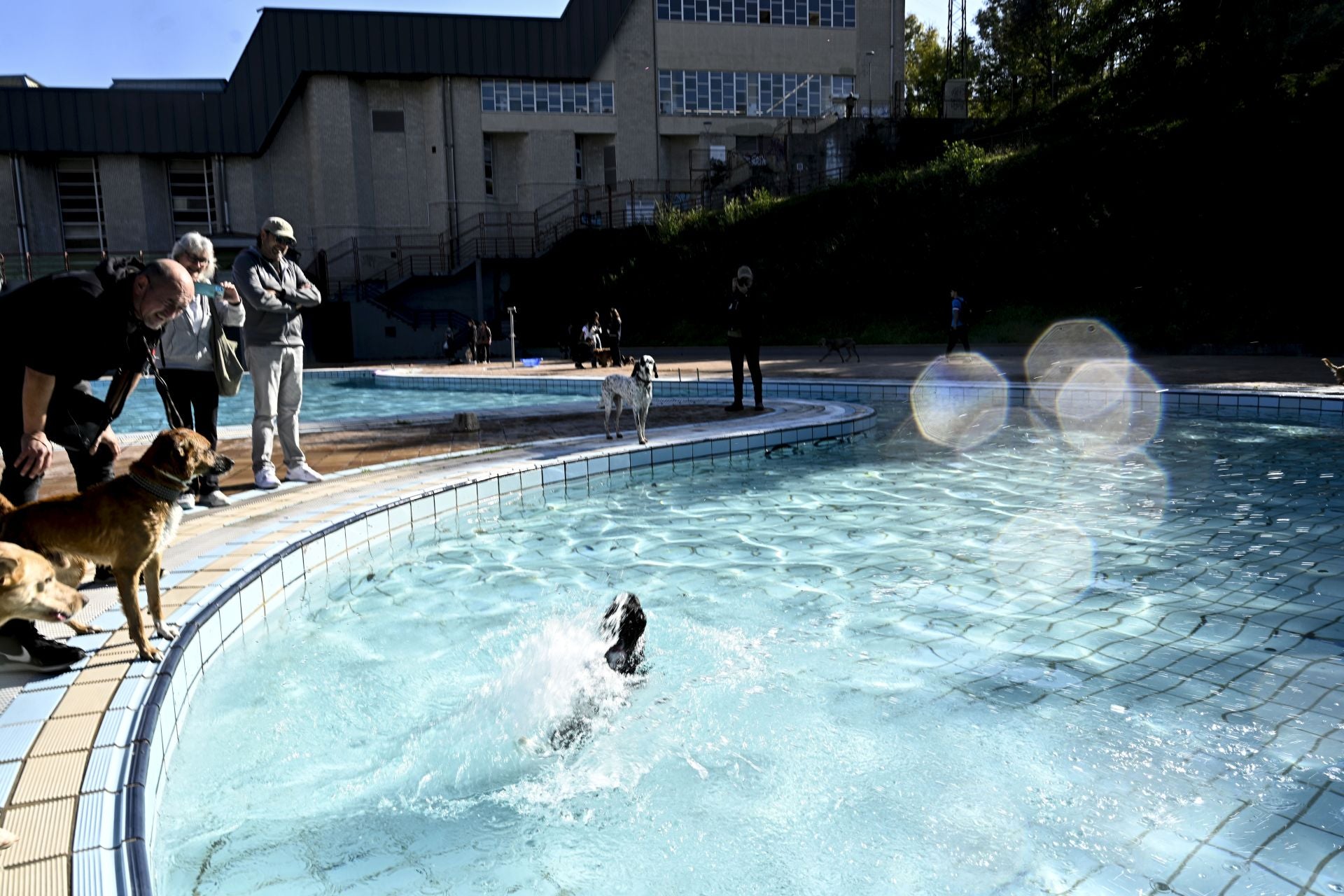 Los perros se adueñan de las piscinas de Eibar