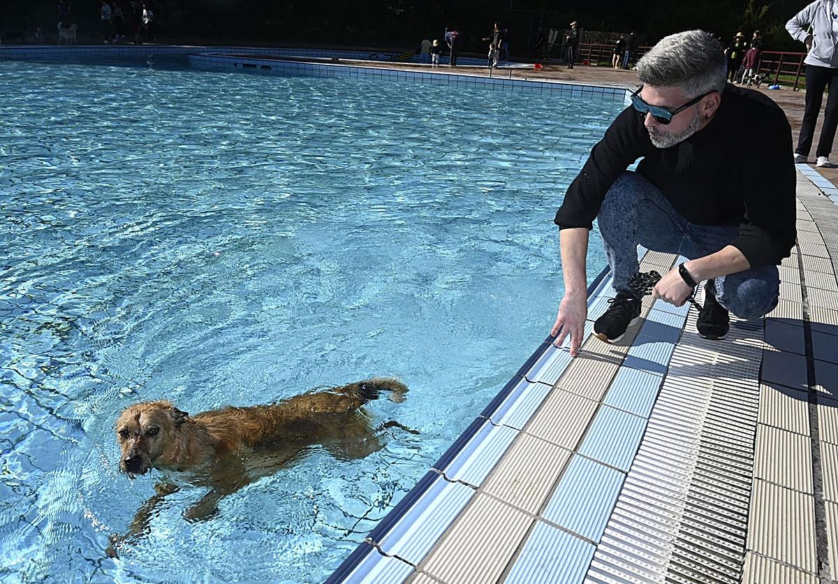 Galería de Fotos: Los perros se adueñan de las piscinas de Eibar
