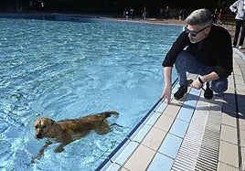 Los perros se adueñan de las piscinas de Eibar
