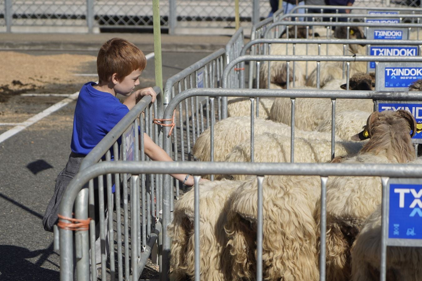 Tradición y sabor en Idiazabal
