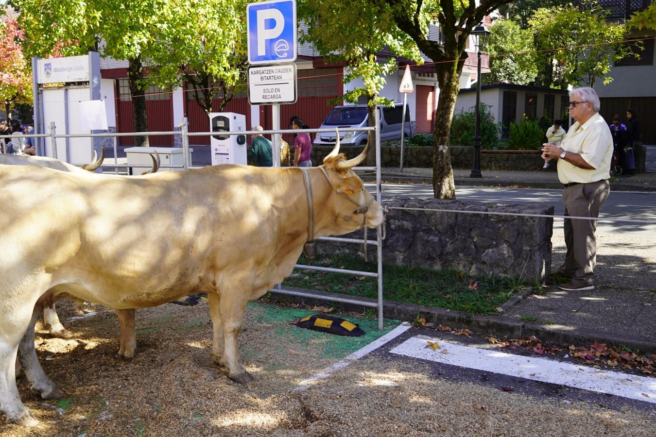 Tradición y sabor en Idiazabal