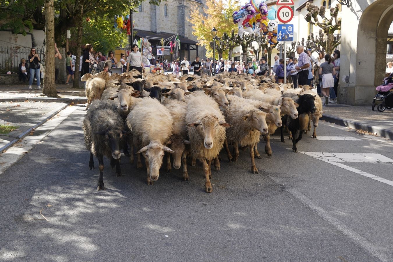 Tradición y sabor en Idiazabal