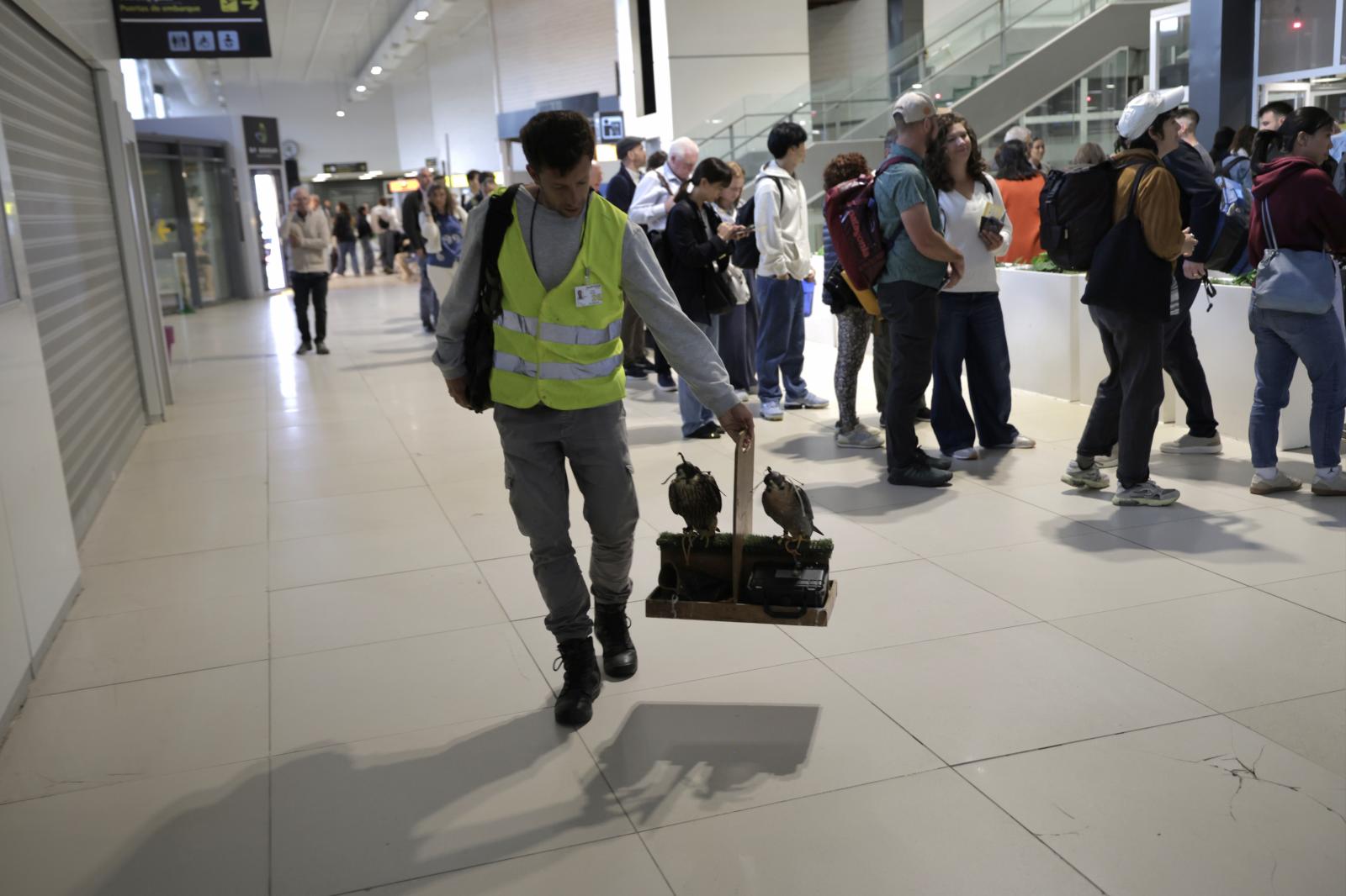 Las deficiencias del aerpuerto de Hondarribia