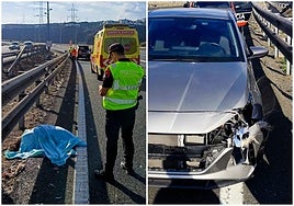 Un vecino de Canarias se lleva por delante con su coche al tercer pájaro más grande del mundo, primo del avestruz