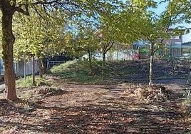 El parque del paseo de Casares que limpiaron los vecinos el sábado 4.