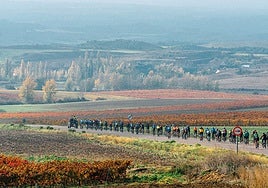 Inscripciones abiertas para la III Marcha Ciclista del Primer Vino de Bodegas Tarón