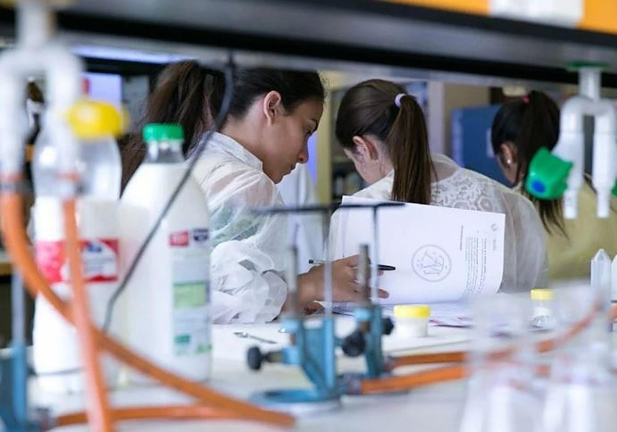 El proyecto municipal KUKU recibe el premio internacional Good Design Awards