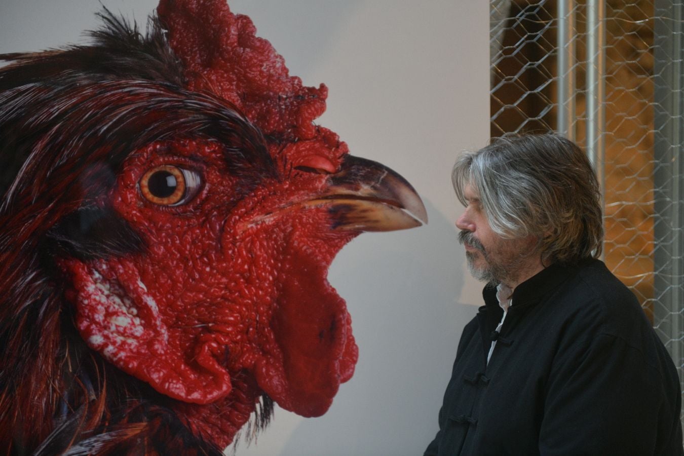 Las gallinas, en el epicentro de Chillida Leku