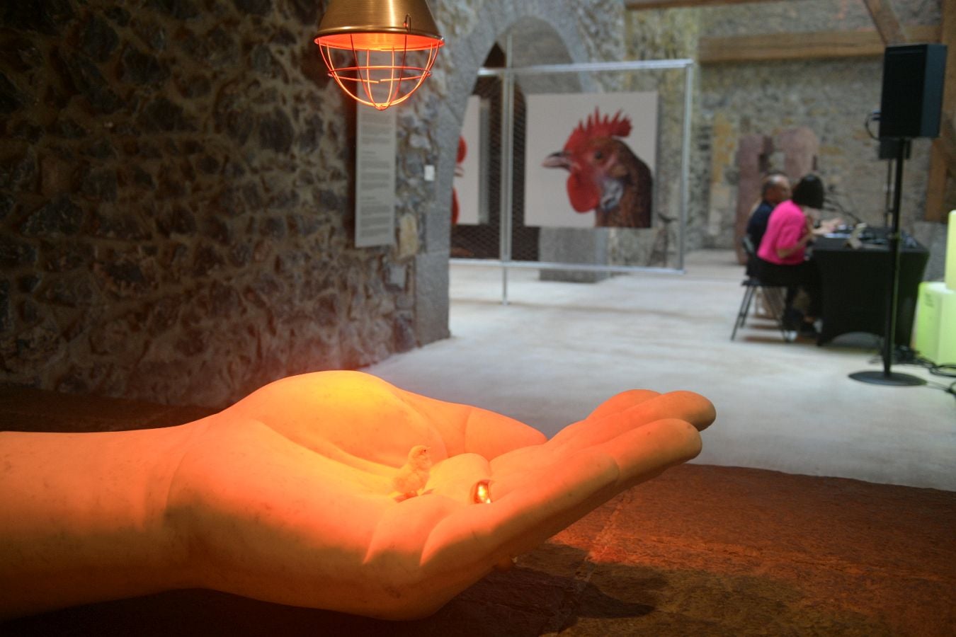 Las gallinas, en el epicentro de Chillida Leku